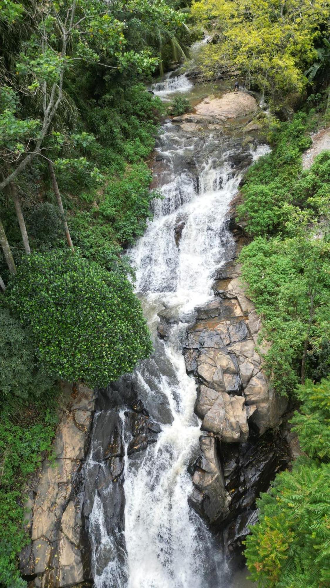 Naturewoodland 埃拉 外观 照片